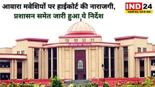 CG NEWS : आवारा मवेशियों पर हाईकोर्ट की नाराजगी, कहा- अब तक क्या किया बताएं, लगातार हो रही दुर्घटनाएं, मांगा जवाब