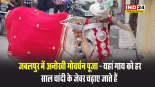 गोवर्धन पूजा: मप्र में यहां गाय को चढ़ाए जाते हैं चांदी के जेवर...