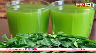 त्वचा के साथ-साथ दिल को भी स्वस्थ रखता है करी पत्ता, जानें इसके फायदे