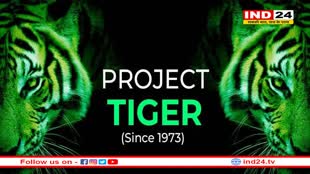 ‘प्रोजेक्ट चीता’ अच्छा काम कर रहा है,दूसरी एनीवर्सरी पर राष्ट्रीय बाघ संरक्षण प्राधिकरण की रिपोर्ट 
