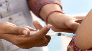 जापानी बुखार से बचाव है जरूरी, मोहन सरकार फ्री में लगवाएगी टीका