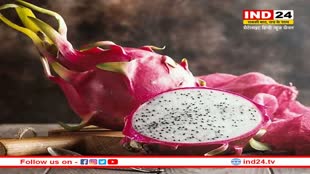 Dragon fruit for Diabetics: मधुमेह के मरीजों को ड्रैगन फ्रूट खाना चाहिए या नहीं ? जानें