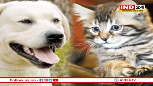 MP News: अब मध्य प्रदेश में कुत्ता, बिल्ली, गाय या अन्य पशु पालने पर देना होगा शुल्क, जानें किस पशु के लिए कितना शुल्क