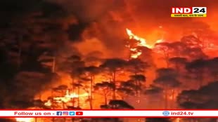 क्यों धधक रहे हैं उत्तराखंड के जंगल, कितना भयंकर होने वाला है इसका परिणाम?