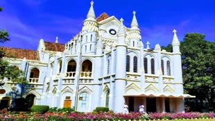 देश विरोधी नारे लगाने वाले को हाईकोर्ट ने दी सशर्त जमानत, भारत मां के जयकारे के साथ तिरंगे को 21 बार देनी होगी सलामी