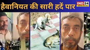 मुंबई में हैवानियत की सारी हदें पार, हत्या के बाद शव के किए टुकड़े, फिर मिक्सी में पिसकर कुकर में उबाला और कुत्तों को खिलाया  