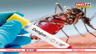 एमपी में डराने लगा डेंगू