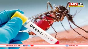 MP News: इंदौर में डेंगू का प्रकोप ! मरीजों की संख्या 48 तक पहुंची
