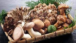 CG NEWS : पुटू की सब्जी खाने से एक ही परिवार के 5 लोग हुए बीमार.....सिम्स में कराया गया भर्ती।