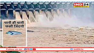 बारिश का कहर, उफान पर नर्मदा, बांधों के गेट खुले