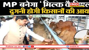 हर घर गोकुल का सपना! 2028 तक दुग्ध उत्पादन में उछाल, MP बनेगा देश का 'मिल्क हब'