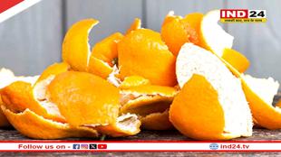 संतरे के छिलके हैं बेहद फायदेमंद, पौधों की ग्रोथ बढ़ाने में करते हैं कमाल- जानें सही उपयोग