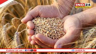 किसानों को मोदी सरकार का तोहफा, रबी फसलों की MSP में बढ़ोतरी