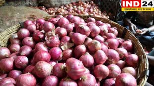 Onion Price: प्याज की गिरती कीमतों पर एक्शन मोड में आई सरकार, अब केंद्रीय एजेंसियां करेंगी खरीदारी