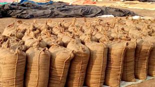 धान उपार्जन घोटाले में EOW की बड़ी कार्रवाई, 38 समितियों के 145 लोगों पर FIR