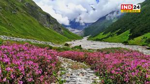 प्रकृति प्रेमियों के लिए खुले विश्व धरोहर फूलों की घाटी के द्वार, पर्यटकों ने किया प्रवेश