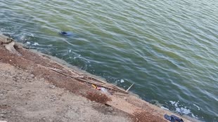 CG NEWS : रायपुर के Marine Drive में मिली अज्ञात लाश। AIIMS की नर्स के तौर पर हुई लाश की शिनाख्त....