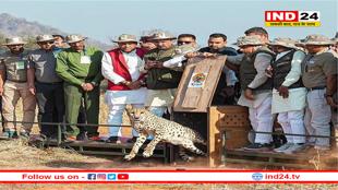 कूनो में CM मोहन ने 5 चीतों को किया आजाद