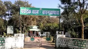 CG NEWS : बारनवापारा अभ्यारण्य जंगल सफारी के अधीन, राज्य सरकार ने किया आदेश  जारी