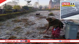 अमरकंटक में जमकर पड़ा पाला, सुबह धरती पर बिछी बर्फ जैसी सफेद चादर