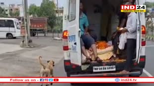 मालिक की मौत के बाद अंतिम यात्रा के वाहन के पीछे 3 KM मुक्तिधाम तक दौड़ा कुत्ता