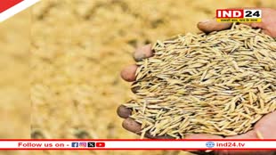 समर्थन मूल्य पर धान, ज्वार, बाजरा की खरीदी जल्द होगी शुरू, किसान इस तारीख से कराएं पंजीयन