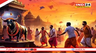  14 जनवरी को कहीं पतंगबाजी, तो कहीं होगी बैलों की पूजा... देशभर में ऐसे मनेगी मकर संक्रांति