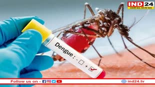 Delhi Dengue Cases: दिल्ली में एमसीडी 5 महीने तक चलाएगा डेंगू, मलेरिया और चिकनगुनिया रोकथाम अभियान