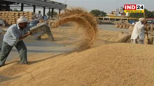 समर्थन मूल्य पर गेहूँ की बिक्री के लिए 62 हजार से अधिक किसानों ने कराया पंजीयन