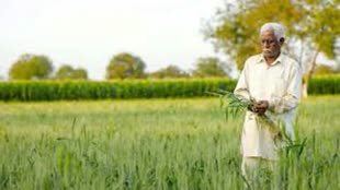 CG NEWS :   राहुल गाँधी का किसानों के लिए फिर बड़ा ऐलान, अब 10 लाख तक फ्री इलाज, भूमिहिनों को मिलेगी 10 हजार राशि......
