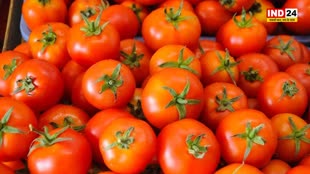  टमाटर रुला रहा है,  भारतीय रसोई की सबसे अहम सब्ज़ी टमाटर के दाम उत्तराखंड में पहुंचे 250 रुपये किलो तक