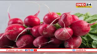 शलजम में पाया जाता है ये सबसे जरूरी विटामिन, इन बीमारियों में की जाती है इस्तेमाल