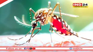 आज मनाया जा रहा है विश्व मलेरिया दिवस, ये अच्छी आदतें रखेंगी आपको सेफ