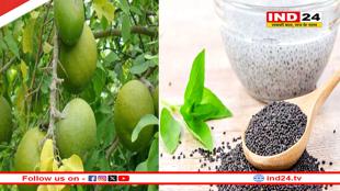 गर्मी के प्रभाव से करना चाहते हैं अपना बचाव, तो जरूर करें इन 10 चीजों का सेवन 