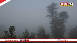 MP में हाड़ कंपाने वाली ठंड: कई शहरों में शीतलहर और कोहरे का अलर्ट