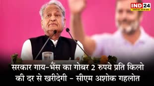  सरकार गाय-भैंस का गोबर 2 रुपये प्रति किलो की दर से खरीदेगी - सीएम अशोक गहलोत