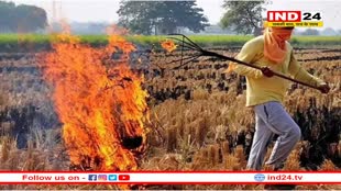 पराली जलाने पर अब दोगुना भरना होगा जुर्माना