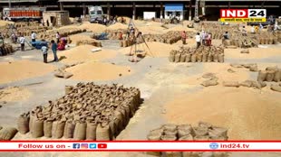 गेहूं खरीद रेट पर बड़ा अपडेट, भजनलाल सरकार ने तय की दरें