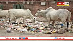 खंडवा में चल रहे सगाई समारोह की दावत से जब्त हुआ प्रतिबंधित मांस, दुल्हन पर मामला दर्ज