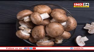 Mushroom Benefits: मशरूम खाने के हैं गज़ब फायदे, कई गंभीर रोग हो सकते हैं दूर 