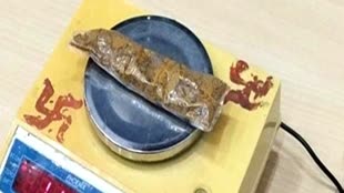 इंदौर में फ्लाइट से सोने को पेस्ट बनाकर ला रहे यात्री को कस्टम की टीम ने पकड़ा