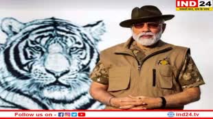 देश में बाघों की गिनती का काम हुआ पूरा, PM Modi ने जारी किए आंकड़े