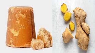 Winter Food: सर्दियों में इन चीजों का जरुर करें सेवन, शरीर रहेगा गर्म