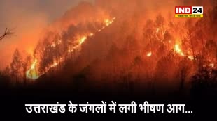 Uttarakhand Forest fire: अल्मोड़ा के जंगल में लगी भीषण आग, 8 वनकर्मी झुलसे, 4 की मौत