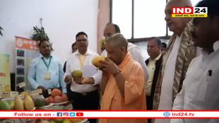UP में आम महोत्सव का आगाज, 800 किस्मों का कर सकते हैं दीदार