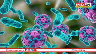 अमेरिका :पहली बार इन्सान में मिला कैंप हिल वायरस, निपाह जैसा खतरनाक