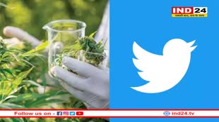 Twitter: कैनबिस विज्ञापन दिखाने वाला पहला सोशल मीडिया प्लेटफॉर्म बना ट्वीटर, अब दिखाएगा भांग के एड