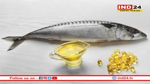 Fish Oil Benefits: अपनी डाइट में मछली का तेल करें शामिल, मिलेंगे ये 6 अद्भुत फायदे