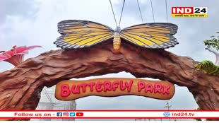खंडवा में बसाया जा रहा तितलियों का अनूठा संसार, 150 से अधिक प्रजाति की तितलियां दिखाई देंगी