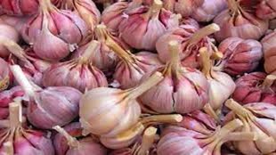 CG NEWS : अब छत्तीसगढ़ में प्याज के बाद लहसुन हुआ महंगा.....